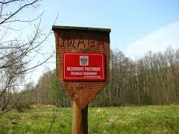 Rezerwat przyrody Kalinowa Łąka